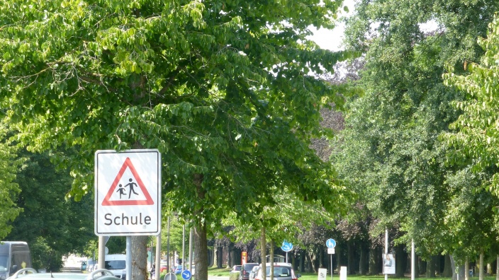 Errichtung einer Geschwindigkeitsbegrenzung auf 30 km/h auf der Salm- Reifferscheidt-Allee im Bereich der Grundschule Burg Hackenbroich hier: Bürgerantrag vom 20.07.2020